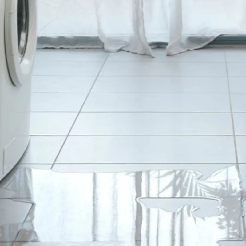 Appliance Leak Cleanup in Inglis, FL