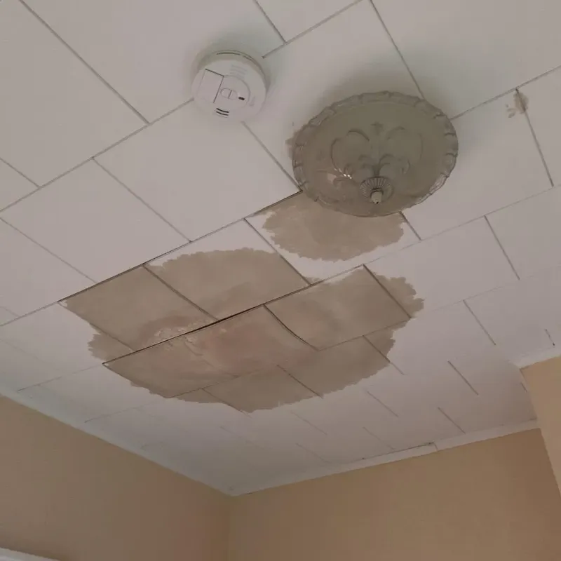 Ceiling Water Damage Repair in Inglis, FL